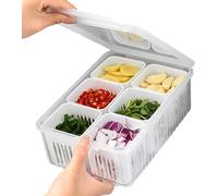 Compartment Fridge Container Box Snack Serving Tray with Lid, Kitchen Grain Sealed Storage Container, Transparent Food Organiser for Dried Fruits, Nuts, Sweets, Fruits (1)