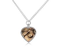 Compass And Old World Map Pet Cremation Jewelry for Ashes Waterproof Urn Necklace with Filling Kit Heart Pendant Ash Necklace Memorial Keepsake Jewelry Custom Sympathy Gift for Dog Cat Human Ashes