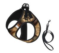 Compass and Old World Map print Dog Harness, 2X Buckle,Dog Vest,No Pulling Front Leash Clip,for Small Medium Dogs