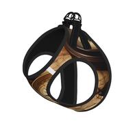 Compass and Old World Map Print Dog Harness and Leash Set,Breathable Adjustable Escape Proof Vest for Dogs, Cats