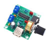 Compatibility PM2038 5Wx2 Amplifier Board USB Power for Small Group Setting Quick Setups USB Amplification Module