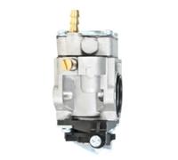 Compatible Carburetor Compatible with Hlt25cnb Weber Lawn Mower Engine Rlt26cdsn Replacement Part