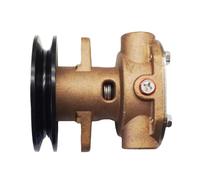 Compatible Engine Raw Water Pump For GM46936 GM104855 344371 And G910P
