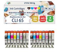 Compatible for Canon CLI 65 Ink Cartridges Work for Canon PIXMA PRO-200 Printers, with Chip, High Yield 300 Pages, High-Definition Printing (2 Set)