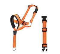 Compatible For Dog Halter Halti Training Head Collar Gentle Leader Harness Breakaway All Seasons Harnesses(Orange,S)
