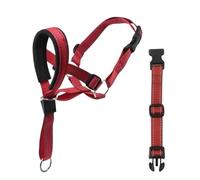 Compatible For Dog Halter Halti Training Head Collar Gentle Leader Harness Breakaway All Seasons Harnesses(Red,M)