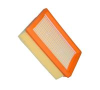 Compatible For Karcher MV4 MV5 MV6 WD4 WD5 WD6 NO. 2.863-005.0,Vacuum Cleaner Replacement Parts Accessories HEPA Filter Dust Proof Net (Color : HEPA Filter 1pcs)