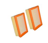 Compatible For Karcher MV4 MV5 MV6 WD4 WD5 WD6 NO. 2.863-005.0,Vacuum Cleaner Replacement Parts Accessories HEPA Filter Dust Proof Net (Color : HEPA Filter 2pcs)
