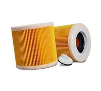 Compatible For Karcher WD2.250 WD3.200 MV2 MV3 WD3，Vacuum Cleaners Parts Cartridge Dust Filters HEPA Filter Replacement Accessories (Color : HEPA Filter 2pcs)