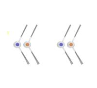 Compatible for Narwal Freo X Ultra/Freo X Plus. Side Brush Replacement Parts for The Robot Vacuum Cleaner and Mop.(4PCS)