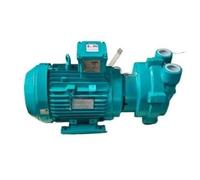 Compatible for NASH Vacuum Pump Liquid Ring Electric Negative Pressure Pump 2BV2071ONC037P 2BV20710NC037P (2BV20710NC037P)
