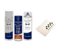 Compatible For Toyota Aygo 2005-2014 Aerosol Spray Paint (Aerosol Paint, Lacquer + Primer, Hot Lava Metallic 4R8 H8R)