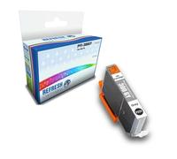 Compatible PFI-300GY (4200C001) Grey Ink Cartridge Replacement for Canon Printers