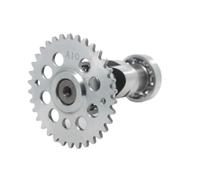 Compatible Racing Camshaft Compatible with A8 A9 A10 A11 A12 A13 A14 A15 GY6 125CC 150CC Fits 1P52QMI 1P57QMJ Models Works With ATV Quad Go Kart Scooter Applications(A10)