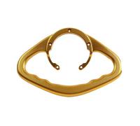 Compatible With 300SR Rear Passenger Armrest Handgrips Compatible with CF SR 300 SR 250SR SR250 2023 Motorcycle Tank Grab Bar Hand Grip Handle Universal Fit(Gold)
