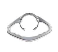 Compatible With 300SR Rear Passenger Armrest Handgrips Compatible with CF SR 300 SR 250SR SR250 2023 Motorcycle Tank Grab Bar Hand Grip Handle Universal Fit(Silver)