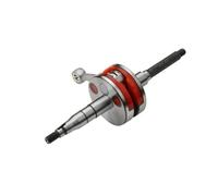 Compatible With 50cc 2T Engine Scooter Crankshaft 10mm Pin 5RN E1400 11 00 Model