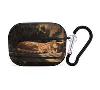 Compatible with Airpods Pro 2nd/1st Generation Case Cover,Orange Cat Sleeping Printed Apple AirPods Pro 2 Case with Carabiner,Drop Protection Scratch And Dust Resistant,Front LED Lights Visible