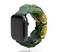 Compatible with Apple Watch Stretchy Band 38mm 40mm 42mm 44mm Women Men,Mint Leaves And Lemon Printed Polyester Elastic Replacement Straps for IWatch Series 5 4 3 2 1