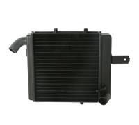 Compatible With Benelli 1130 1998 1999 2000 2001 2002 Motorcycle Right Side Radiator Cooler Cooling Radiator Coolant Tanks Overflow Tanks Cooler Radiator Motorbike