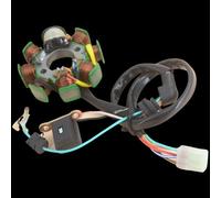 Compatible With Discover 135 AC 8 Pole Motorcycle Electric Generator Stator Coil Magneto Magnetic Magneto Assy Engine Spare Parts