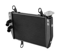 Compatible With Ducati For Hypermotard 821 2013 2014 2015 For Hypermotard 939 2016 2017 2018 2019 2020 2021 Motorcycle Radiator Cooler Cooling Motorcycle Radiator
