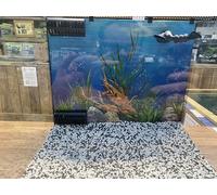 Compatible with Fluval Flex Background Poster 34 L Poster B Plant Green