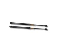 Compatible With For A4 (B7/8E) Sedan 2004 2005 2006 2007 2008 Car Rear Tailgate Boot Gas Struts Hydraulic Boot Gas Springs Lift Support Car Rear Tailgate Support