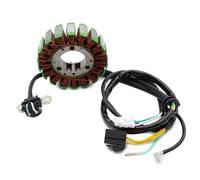 Compatible With For Klx250 For Klx250sr 1993 1994 1995 1996 1997 Motorcycle Magneto Stator Coil Accessories 21003-1275 21003-1254 Motorcycle Stator Coil