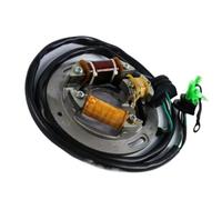 Compatible With For Waverunner For Wr650 1990 1991 1992 1993 1994 1995; For 700Pro 1993 1994 1995; Motorcycle Stator Coil Generator Magneto Stator Coil Ignition