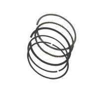 Compatible With FTR223 2000 2001 2002 2003 2004 2005 2006 2007 2008 2009 2010 2011 2012 2013 Bore 66.00MM 65.50MM Engine Piston Rings Pin Set Engine Barrel Cylinder