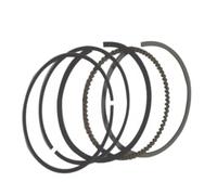 Compatible With FTR223 2000 2001 2002 2003 2004 2005 2006 2007 2008 2009 2010 2011 2012 2013 Bore 66.00MM 65.50MM Engine Piston Rings Pin Set Engine Barrel Cylinder
