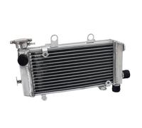 Compatible With H VTR1000F Super Hawk Fire Storm 97 98 99 00 01 02 03 04 05 06 Engine Cooling Radiator Water Cooler Polished(Right)