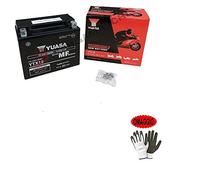 Compatible with Honda 800 VFR Fi Interceptor 1998 Yuasa Battery Ready to Use Charged YTX12-BS Batteries 10 Amp 12 Volt 150 x 87 x 130 AGM Separator