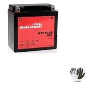 COMPATIBLE WITH HONDA NV GC Shadow (PC21) 750 from 1999 to 2001 BATTERY ALREADY FOR USE MALOSSI MTX14-BS FACTORY ACTIVATED GEL BATTERIES 12A 12V