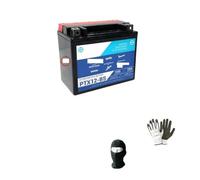 COMPATIBLE WITH HONDA VFR F (RC24/RC24II/RC36/RC36II) 750 1990 A 1997 PIAGGIO PTX12-BS BATTERY (FULLY SEALED YUASA YTX12-BS) 12V/10A FOR MOTORCYCLE SCOOTER READY FOR DIY USE 150X87X130