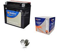 COMPATIBLE WITH HYOSUNG 650 GV Eagle 2008 BATTERY ALREADY READY TO USE TECNIUM YTX14-BS 12V 12AH BATTERIES 12 AMPERE SPECIFIC FOR MOTORCYCLE SCOOTER 150X87X145