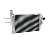 Compatible With M/W R1200GS 12 13 14 15 16 17 18 R1200RT 13-18 R1250GS R1250RT 19 20 21 22 23 24 Engine Radiator Cooling Cooler(Left)