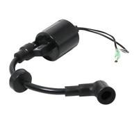 Compatible With Outboard Ignition Coil Accessories For 4HP 4 4A 4C 5HP 5 5C 5CS MS LH CMHS L MHS MHL 6E0-85570-00 6E0-85570-02 Universal Fit