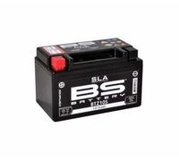 Compatible with/Replacement for 600 CBR FS FI/RR/F/CBR 900-1000 RR/CB 1000 R Battery BS SLA- BTZ10S -321806