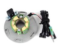 Compatible With Suzuki For RM125 1986 1987 1988; For RM250 1986 1987 1988 1989 1990 1991 1992 1993 1994 1995; Motorcycle Generato Stator Coil Generator Stator Coil