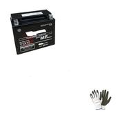 Compatible with Yamaha 900 TDM 2009 Yuasa Battery Ready to Use Charged YTX12-BS Batteries 10 Ampere 12 Volt 150 x 87 x 130 AGM Separator