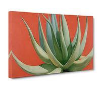 Compelling Aloe Vera Plant Canvas Wall Art Print 30x20 Inch