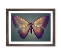 Compelling Butterfly BLK Framed Print | A3 Walnut Framed Wall Art | Ready to Hang | Modern Animal Picture | Living Room Bedroom Lounge Office