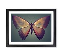 Compelling Butterfly BLK Framed Print | A4 Black Framed Wall Art | Ready to Hang | Modern Animal Picture | Living Room Bedroom Lounge Office