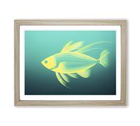 Compelling Fish Framed Print | A2 Oak Framed Wall Art | Ready to Hang | Modern Animal Picture | Living Room Bedroom Lounge Office