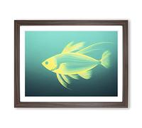 Compelling Fish Framed Print | A4 Walnut Framed Wall Art | Ready to Hang | Modern Animal Picture | Living Room Bedroom Lounge Office
