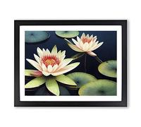 Compelling Water Lily Flowers Framed Wall Art Print A2 Black