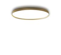 Compendium Plate Wall/ Ceiling Light Brass