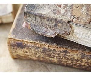 Competing Revelations from Christ